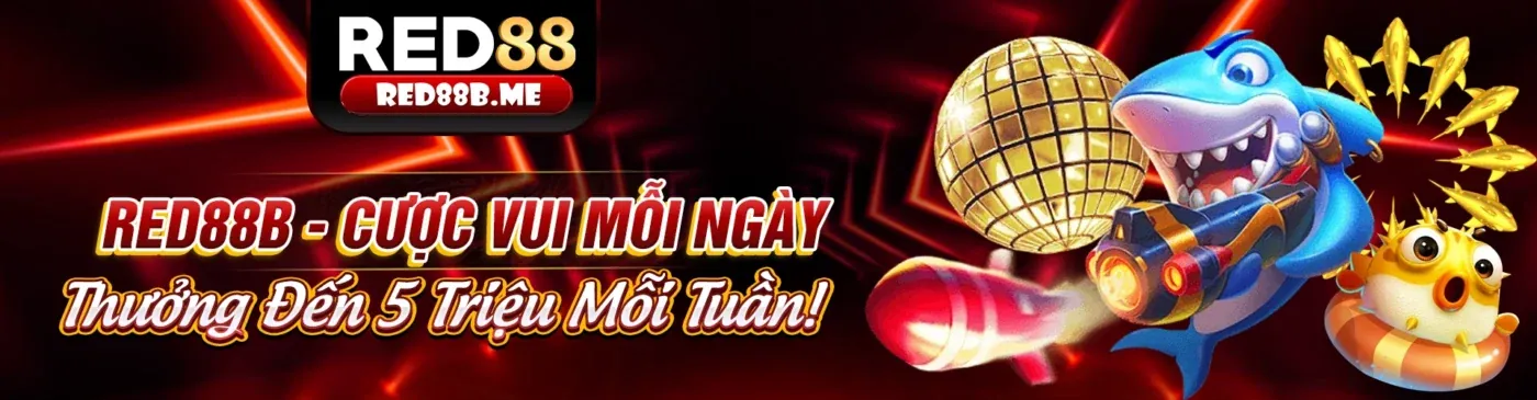 Tin tức i888 nhà cái mới nhất, cập nhật liên tục